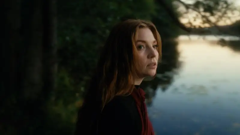 Lost in the Woods
