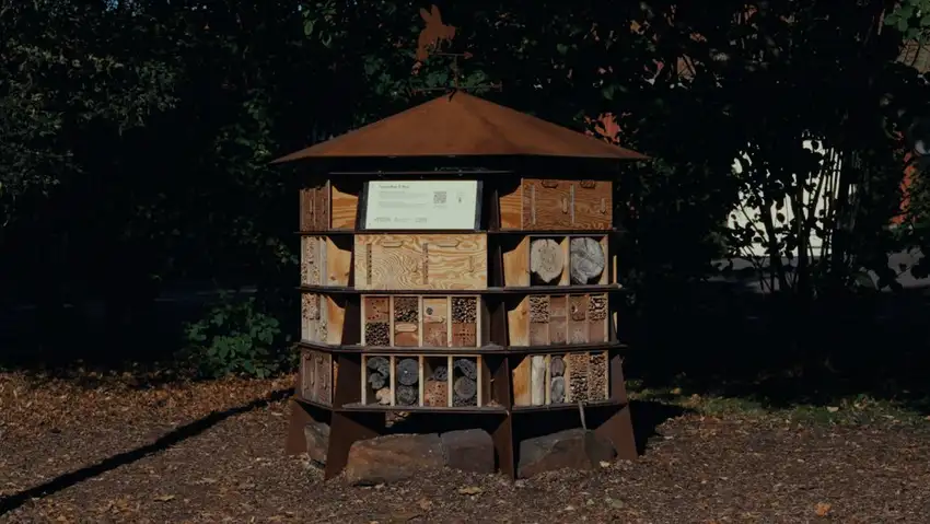 Tøyen Bee & Bee
