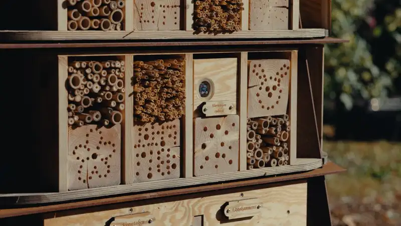 Tøyen Bee & Bee