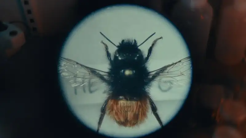 Tøyen Bee & Bee